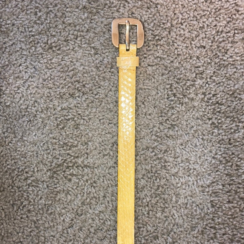 Charter Club real snake skin belt!